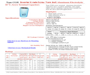 CGH152T500W3L.pdf