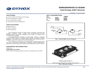 DIM300WHS12-E000.pdf