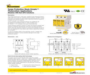 BSPH31000YPV.pdf