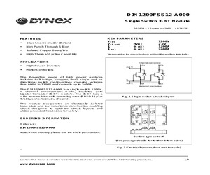 DIM1200FSS12-A000.pdf