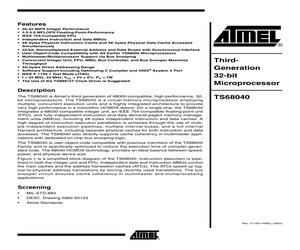 TS68040DESC01YCA.pdf