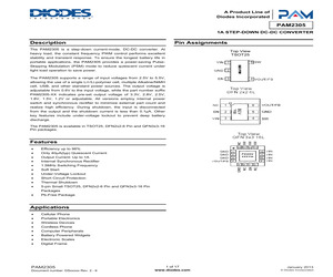 PAM2305AAB120.pdf