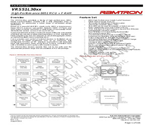 VRS51L3074-40-QG.pdf