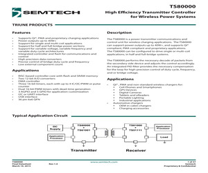 TS80000-QFNR.pdf
