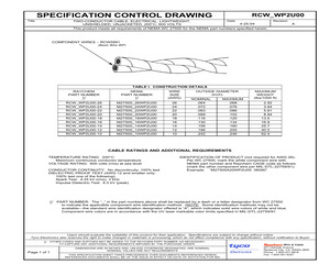RCWBWP2U00-20 (C45813-000).pdf