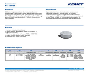 FCS0V104ZFTBR24.pdf