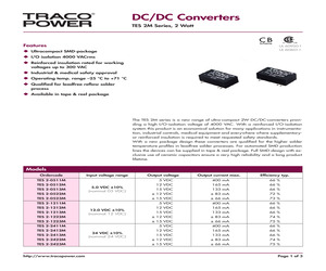 TES2-0511M.pdf