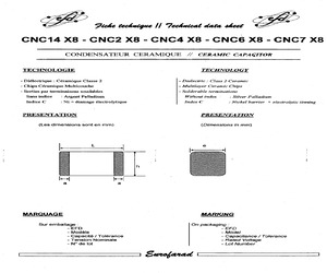 CNC6X8CW120NF10%100V.pdf