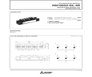 RM100SZ-6R.pdf