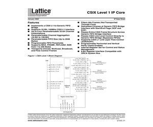 CSIX LEVEL 1.pdf