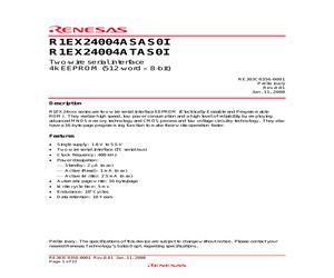 R1EX24004ASAS0I.pdf