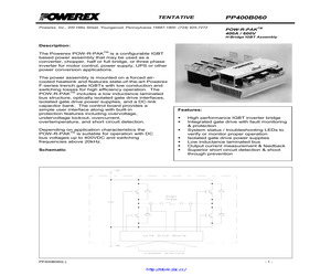 PP400B060.pdf