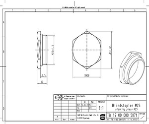 19000005071.pdf