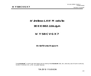 WYSBCVGX7/BKN.pdf