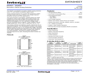 DG403DYZT.pdf