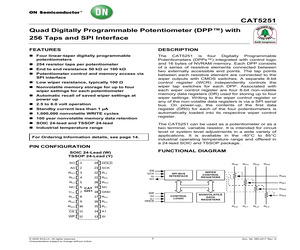 CAT5251WI-00.pdf