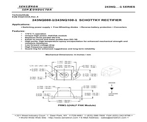 243NQ100-1.pdf