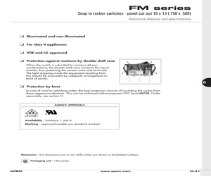 FML18A238T000.pdf