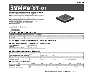 2SMPB-01-01-TR.pdf