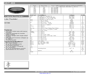 SKT493/12E.pdf