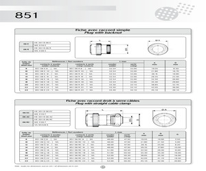 85106R1415P50.pdf