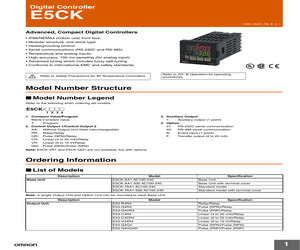 E5GN-RT-C AC100-240N6.pdf
