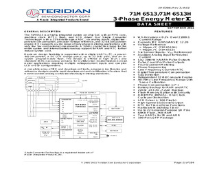 71M6513-TGP1-100EL.pdf