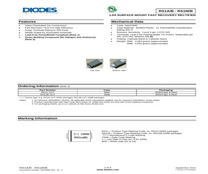 RS1AB-13-F.pdf