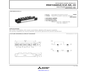 RM100DZ-H.pdf