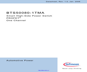 BTS50080-1TMA.pdf