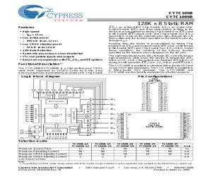 CY7C1009B-25VC.pdf