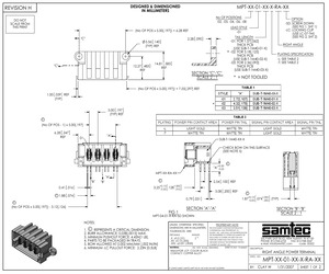 MPT-02-01-01-L-RA-LC.pdf