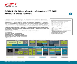 BGM11S12F256GA-V2.pdf