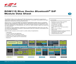 BGM11S22F256GA-V2.pdf