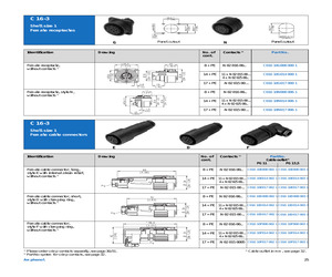 C01610D0140031.pdf