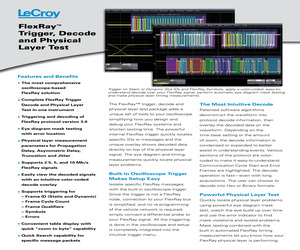 WSXS-FLEXRAYBUS TD.pdf