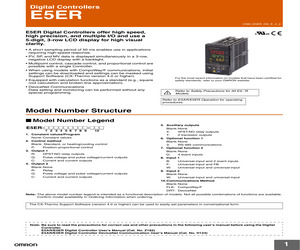 E5ER-CTB-DRT AC100-240V.pdf