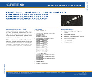 C503B-RCN-CX0Y0AA2-0LR.pdf