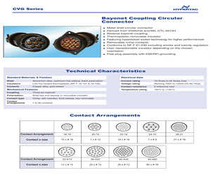 CVG24-1023263W.pdf