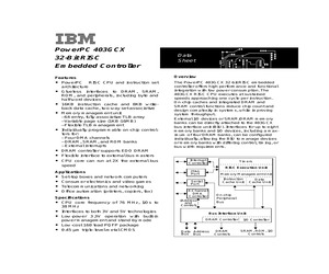 IBM25403GCX-3JC76C2.pdf