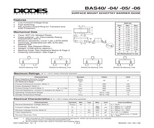 BAS40-04.pdf