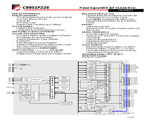 C8051F226.pdf