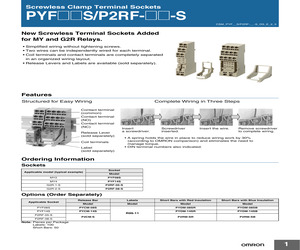 P2CMS.pdf