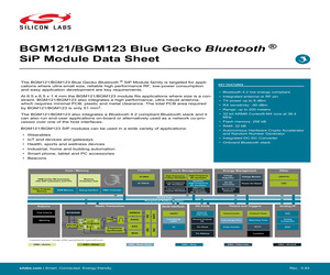 BGM123A256V1R.pdf