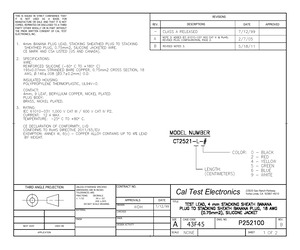 CT2521-10-4.pdf