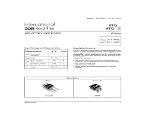 8TQ100S.pdf