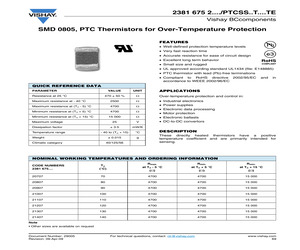 PTCSS12T101DTE.pdf