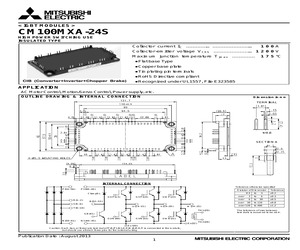 CM100MXA-24S.pdf