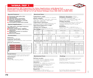 FKP1G014704B00MI00.pdf