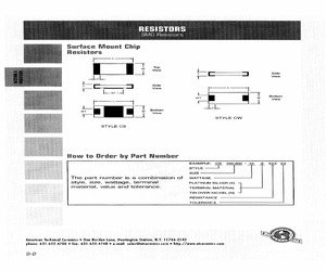 CW100-200-04.pdf